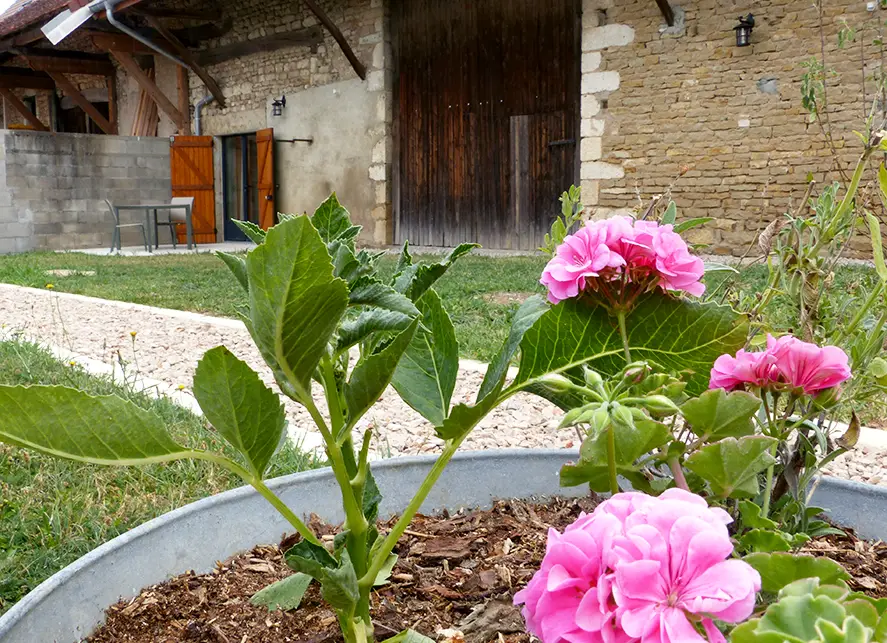 Exterieur-mobile Gîte Saône et Loire mobile